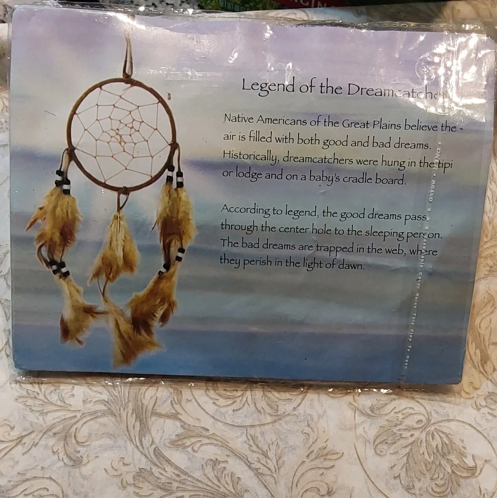 Dreamcatcher Wall Art with Feathers & Chrome Bars